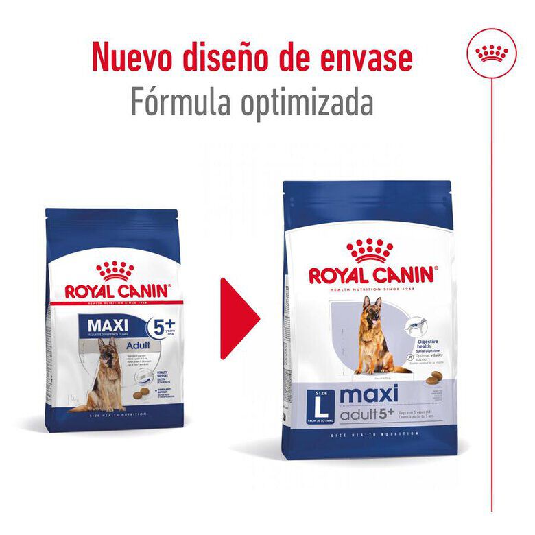 15 kg Royal Canin Maxi Adult 5+ ra&ccedil;&atilde;o para c&atilde;es seniores de ra&ccedil;a grande, , large Imagem n&uacute;mero 2