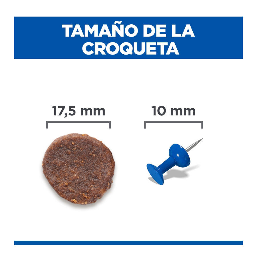 14 kg Hill's Science Plan Hipoalerg&eacute;nico Large Salm&atilde;o ra&ccedil;&atilde;o para c&atilde;es, , large Imagem n&uacute;mero 4