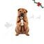 Wonder Christmas Amigo Urso XL Peluche para c&atilde;es, , large Indicador imagem n&uacute;mero 1