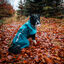 Non-stop Dogwear Capa de Chuva Imperme&aacute;vel Azul e Verde para c&atilde;es, , large Indicador imagem n&uacute;mero 2