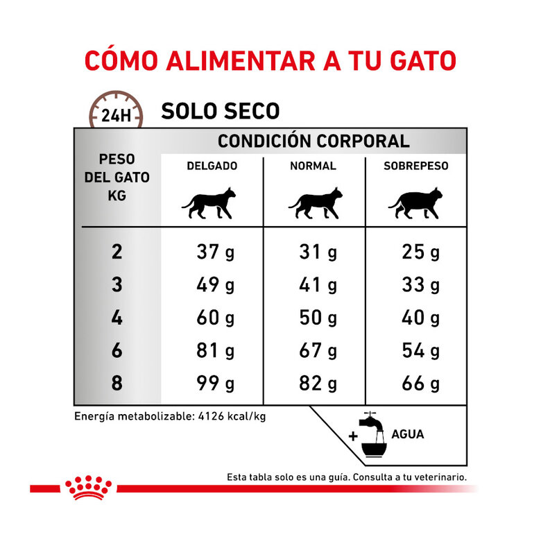 4 kg Royal Canin Veterinary Hepatic ração para gatos ,  Imagem número 7 4 kg Royal Canin Veterinary Hepatic ração para gatos , , large Imagem número 7