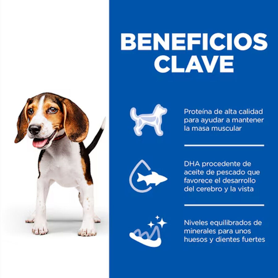 370 g Hill's Science Plan Puppy Beef P&acirc;t&eacute; enlatado para c&atilde;es, , large Imagem n&uacute;mero 5