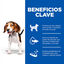 370 g Hill's Science Plan Puppy Beef Pâté enlatado para cães, , large Indicador imagem número 5