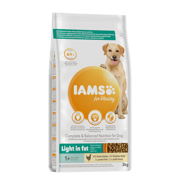 Iams For Vitality Frango ração para cães