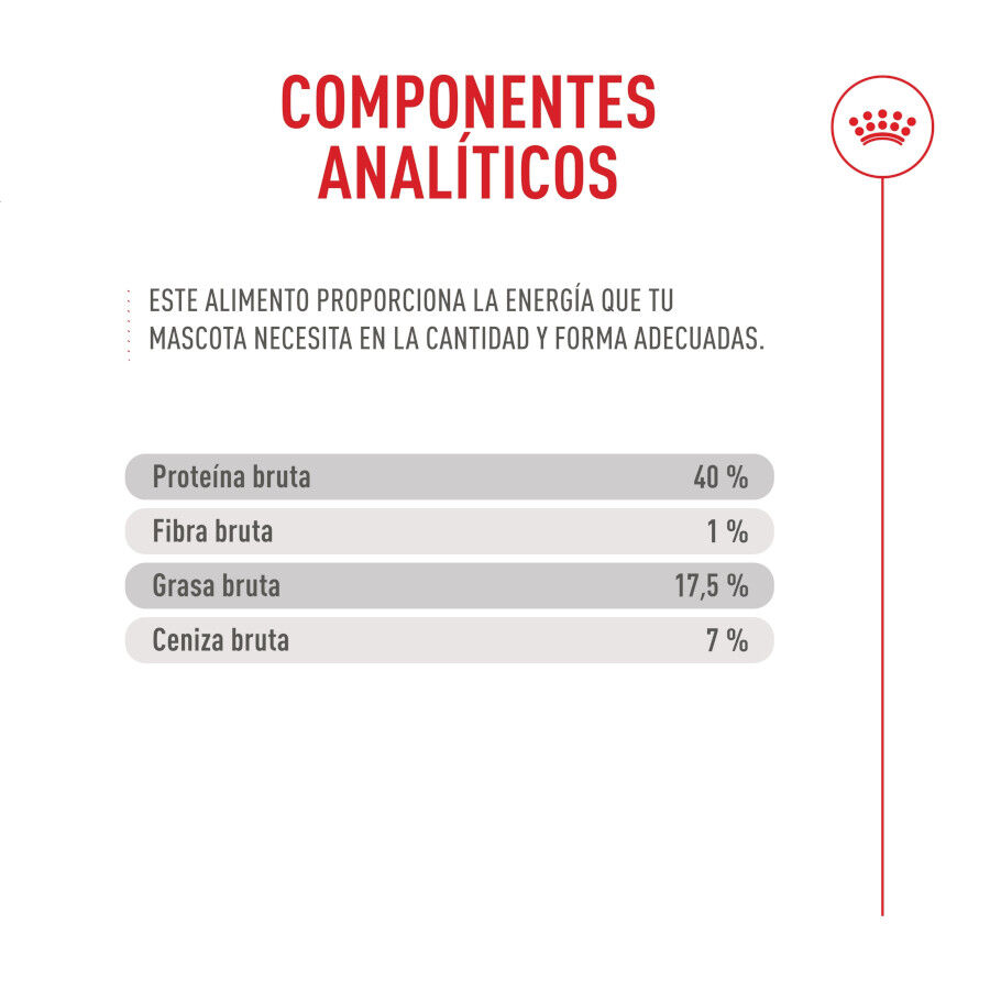 10 kg Royal Canin Fussy Exigent Ra&ccedil;&atilde;o de ave para gatos, , large Imagem n&uacute;mero 9