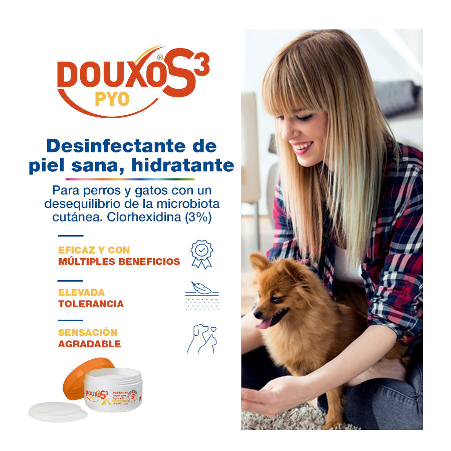 Douxo Pya Algod&atilde;o Desinfetante para c&atilde;es e gatos , , large Imagem n&uacute;mero 2