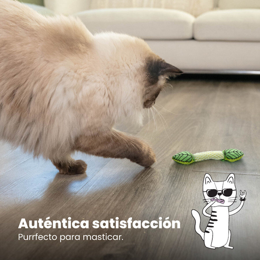 Catstages Fresh Breath Stick Peluche Dent&aacute;rio com Menta para gatos, , large Imagem n&uacute;mero 6