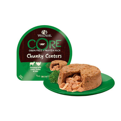 Terrinas Wellness Core suculenta 170 gr