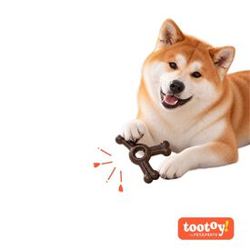 Tootoy! Chew Mordedor Osso de Bisonte para c&atilde;es