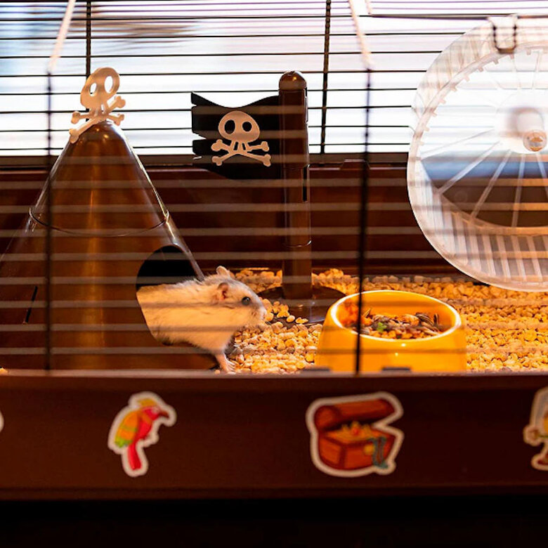 Ferplast Criceti 9 Piratas Preta Jaula para roedores,  Imagem número 4 Ferplast Criceti 9 Piratas Preta Jaula para roedores, , large Imagem número 4