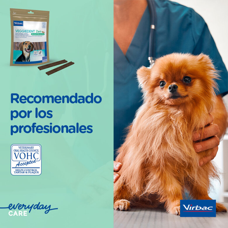15 sticks Virbac Láminas Veggiedent Zen XS para cães,  Imagem número 9 15 sticks Virbac Láminas Veggiedent Zen XS para cães, , large Imagem número 9