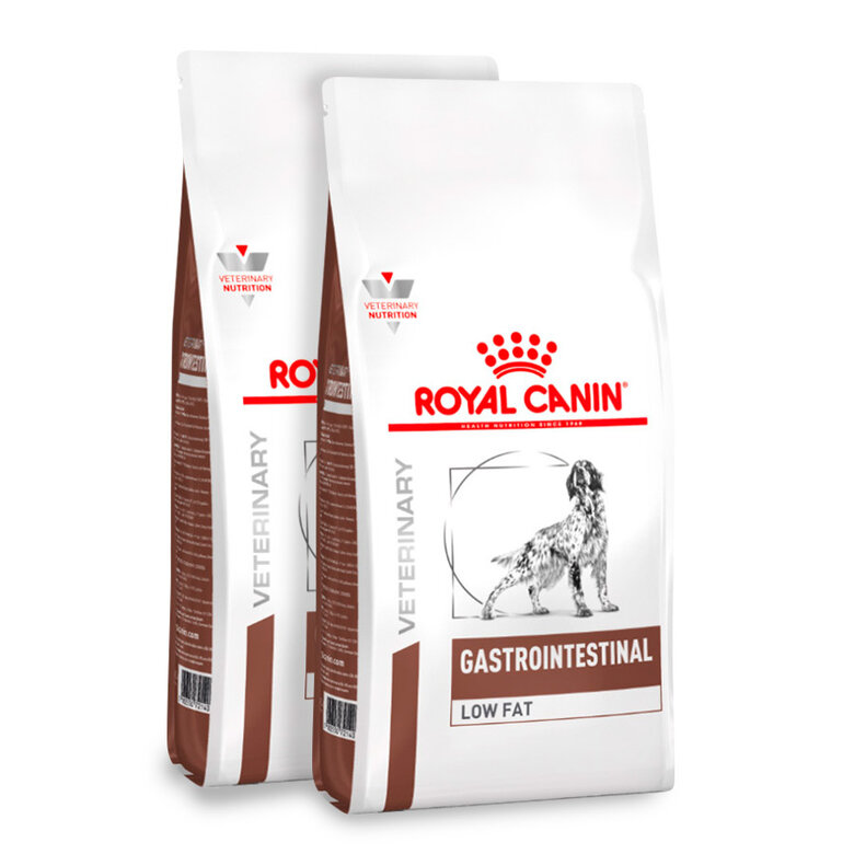 pienso_perros_royal_canin_veterinary_gastrointestinal_ROY478564_B.jpg image number null