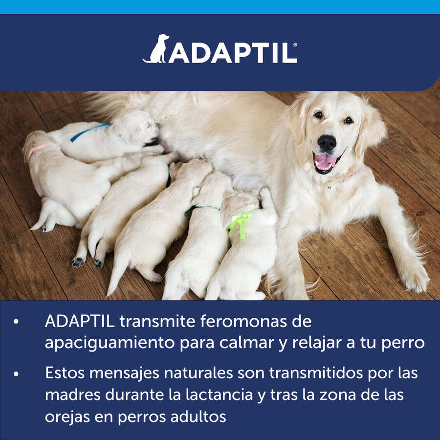 Adaptil Difusor e Recarga Tranquilizante para C&atilde;es, , large Imagem n&uacute;mero 3