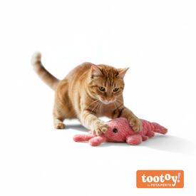 Tootoy! Interactive & Stimulate Brinquedo Lagosta Interativa para gatos