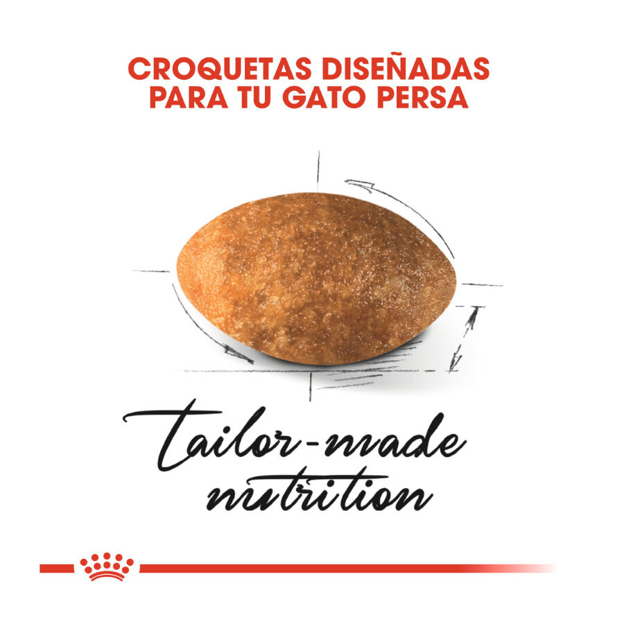 10 kg Royal Canin Persa ra&ccedil;&atilde;o para gatos adultos, , large Imagem n&uacute;mero 5
