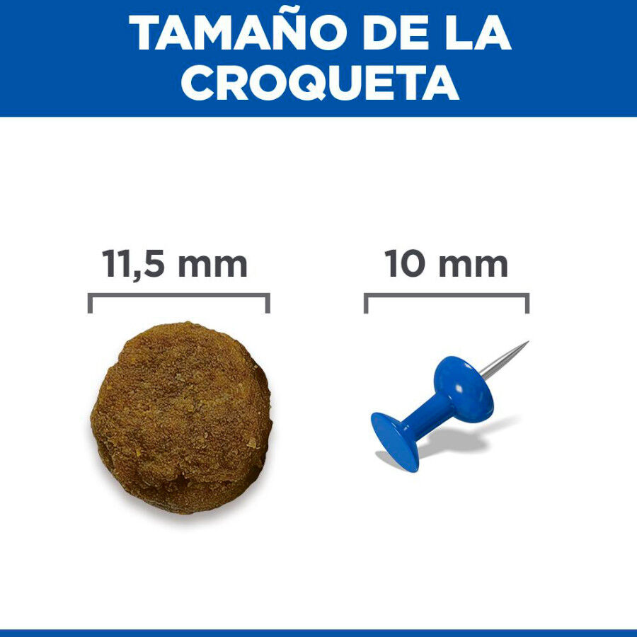 18 kg Hill's Science Plan Adult Medium Cordeiro e Arroz ra&ccedil;&atilde;o para c&atilde;es, , large Imagem n&uacute;mero 8