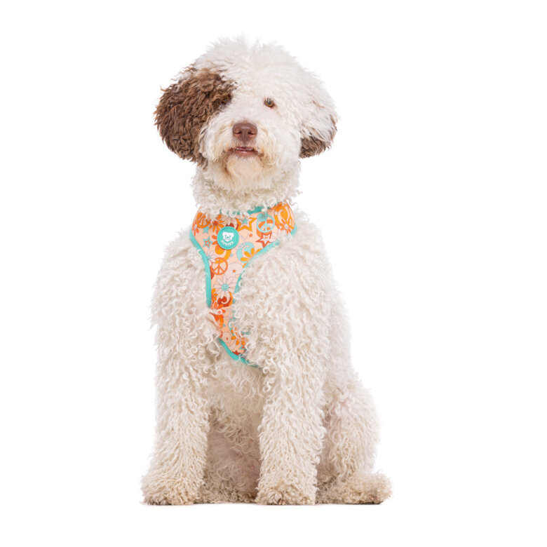 Dukier Peace Peitoral reversível para cães,  Imagem número 3 Dukier Peace Peitoral reversível para cães, , large Imagem número 3