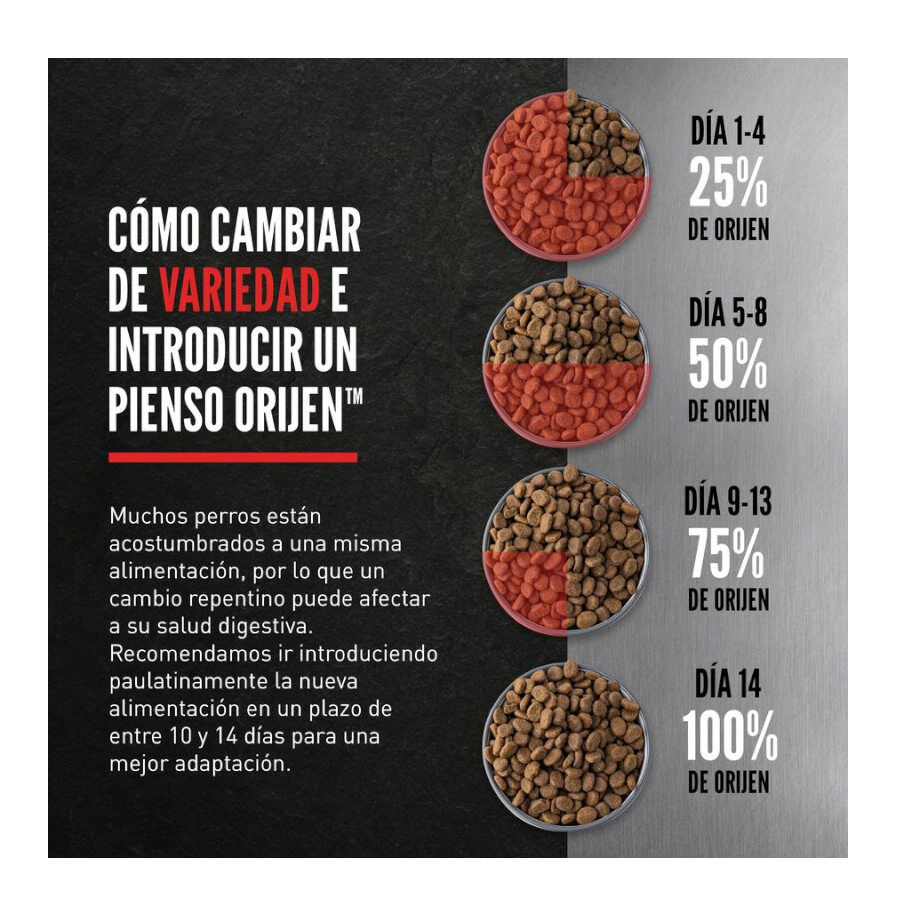 11.4 kg Orijen Adult Original ra&ccedil;&atilde;o para c&atilde;es, , large Imagem n&uacute;mero 8