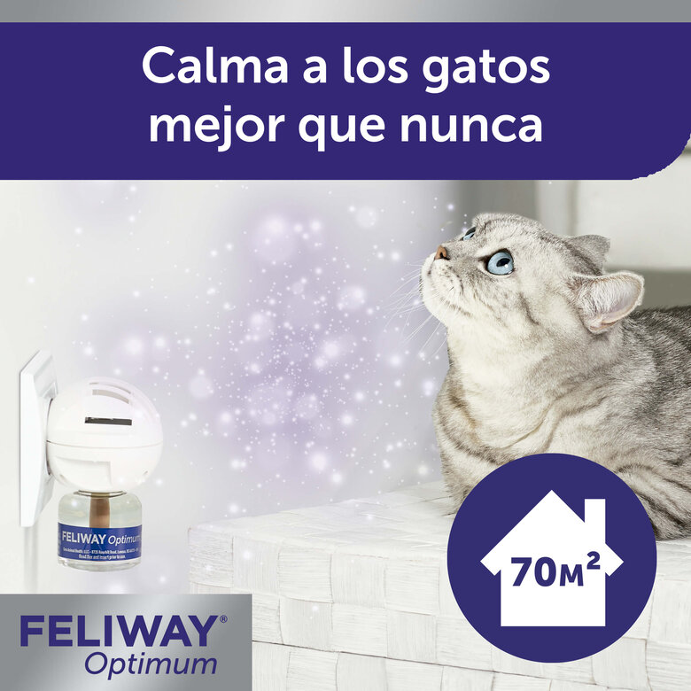 Feliway Optimum relaxante para gatos, , large image number null