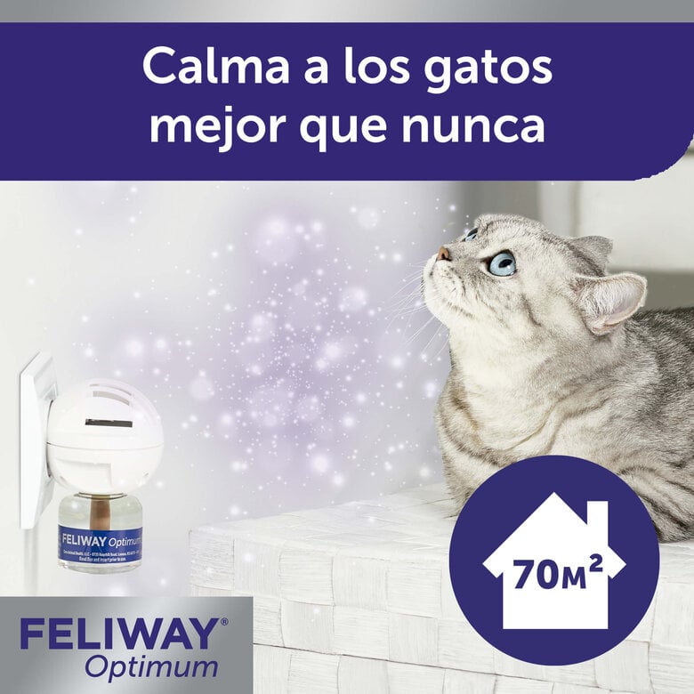 Feliway Optimum relaxante para gatos,  Imagem número 3 Feliway Optimum relaxante para gatos, , large Imagem número 3