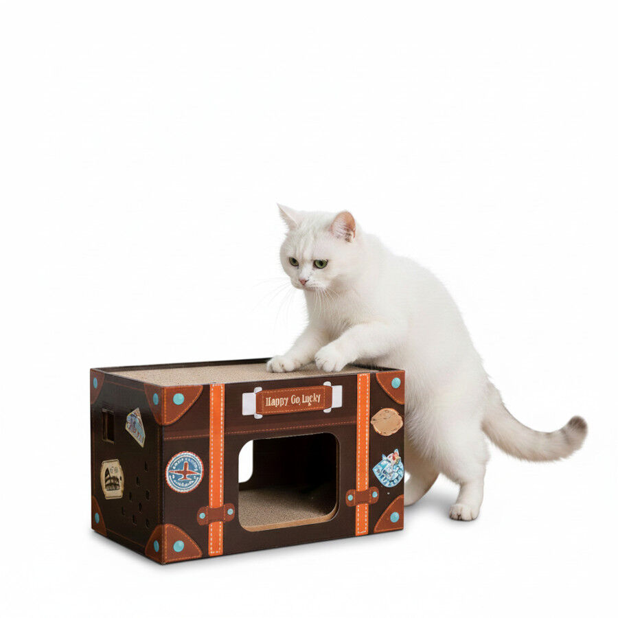 All For Paws Vintage Arranhador Lucky Scrat para gatos, , large Imagem n&uacute;mero 3