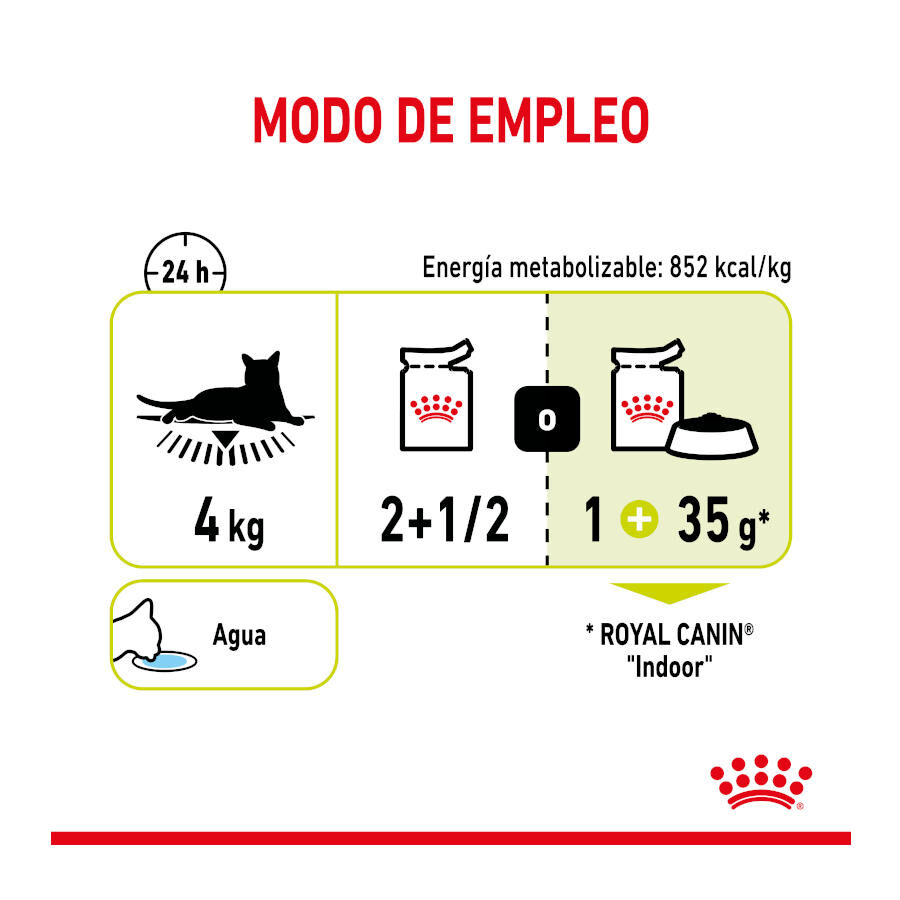 85 g Royal Canin Adult Sensory Smell molho saqueta para gatos, , large Imagem n&uacute;mero 6