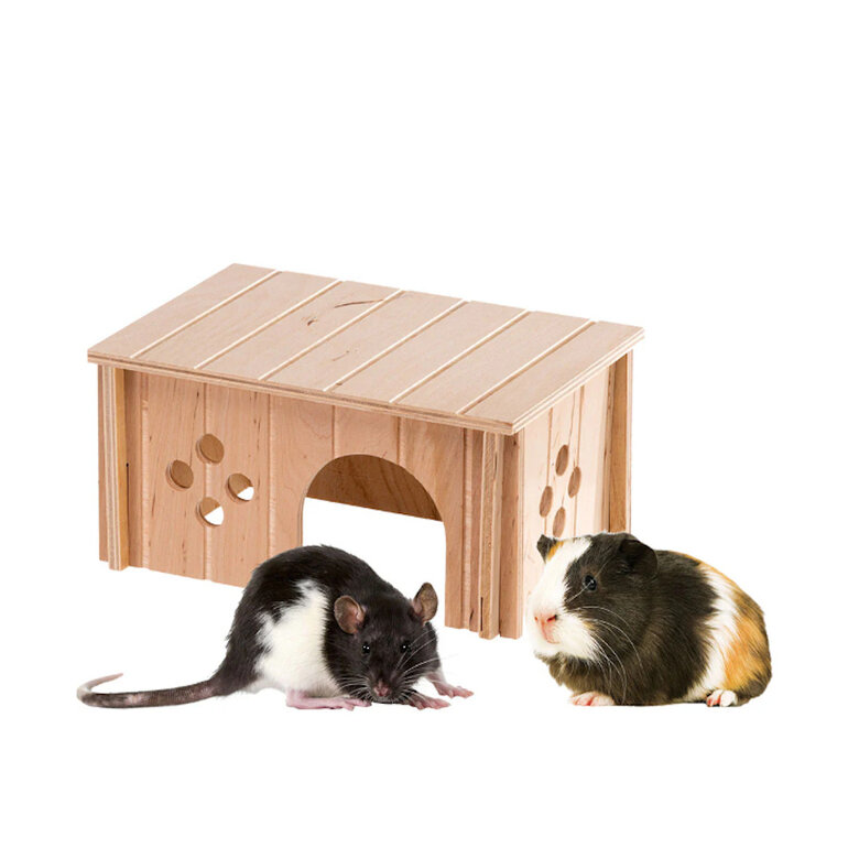 Ferplast SIN 4645 Casa para Roedores,  Imagem número 1 Ferplast SIN 4645 Casa para Roedores, , large Imagem número 1