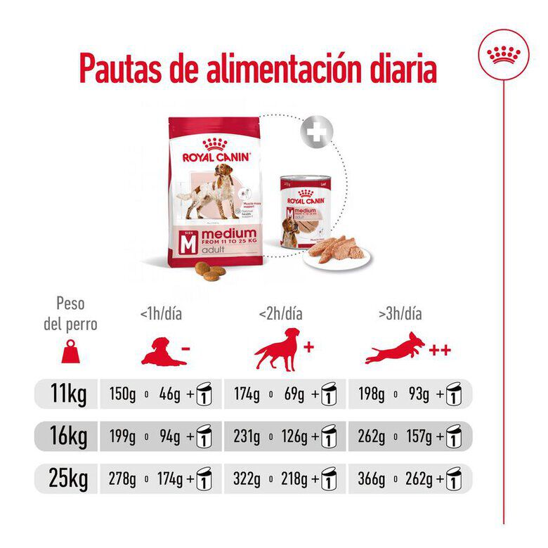 15 kg Royal Canin Medium Adult ra&ccedil;&atilde;o para c&atilde;es, , large Imagem n&uacute;mero 11