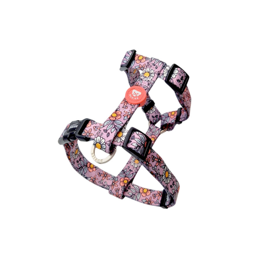 Dukier Flower Power Peitoral Cl&aacute;ssico para c&atilde;es, , large Imagem n&uacute;mero 1