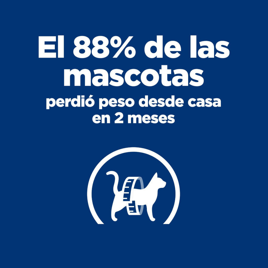 1.5 kg Hill's Prescription Diet Metabolic ra&ccedil;&atilde;o para gatos, , large Imagem n&uacute;mero 3