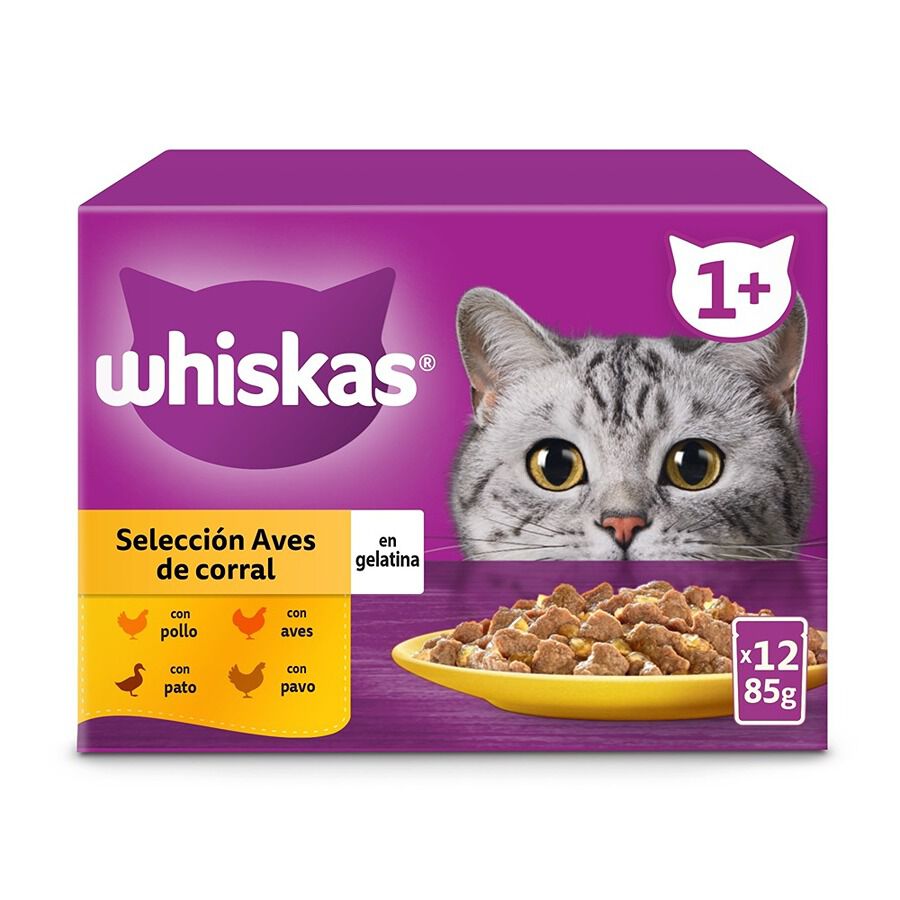 12 saquetas x 85 g Whiskas Sabor Aves Geleia em Saqueta para Gatos, , large Imagem n&uacute;mero 2