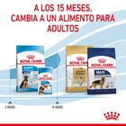 Royal Canin Puppy Maxi ração para cães, , large image number null