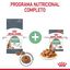 10 kg Royal Canin Adult Digestive ração para gatos, , large Indicador imagem número 4