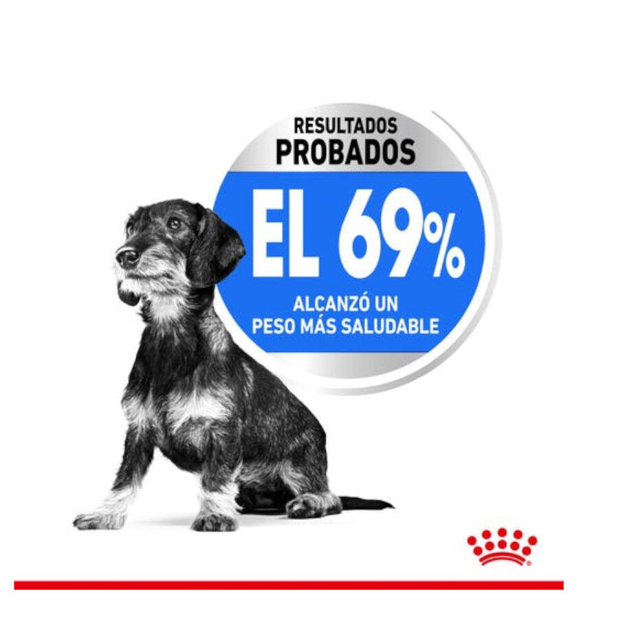 1.5 kg Royal Canin X-Small Light Weight Care ra&ccedil;&atilde;o para c&atilde;es, , large Imagem n&uacute;mero 5