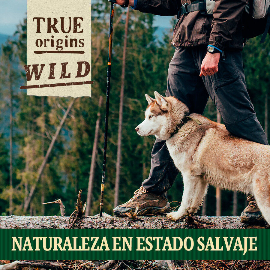 True Origins Wild Pesco&ccedil;os de Frango Snack para c&atilde;es, , large Imagem n&uacute;mero 7