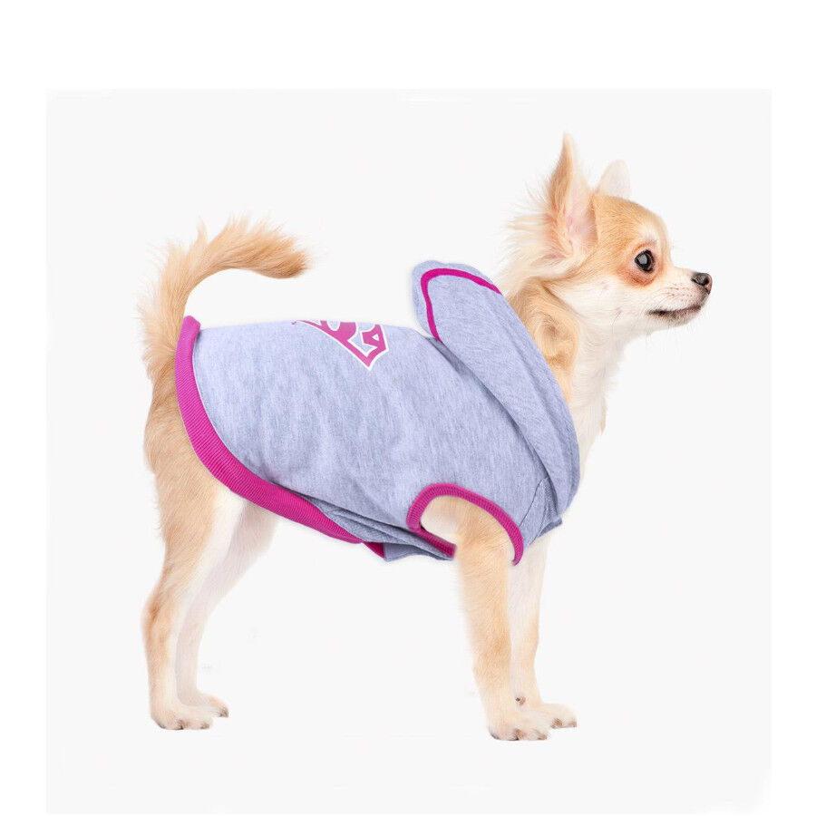 DC Comics Superman camisola para c&atilde;es, , large Imagem n&uacute;mero 3