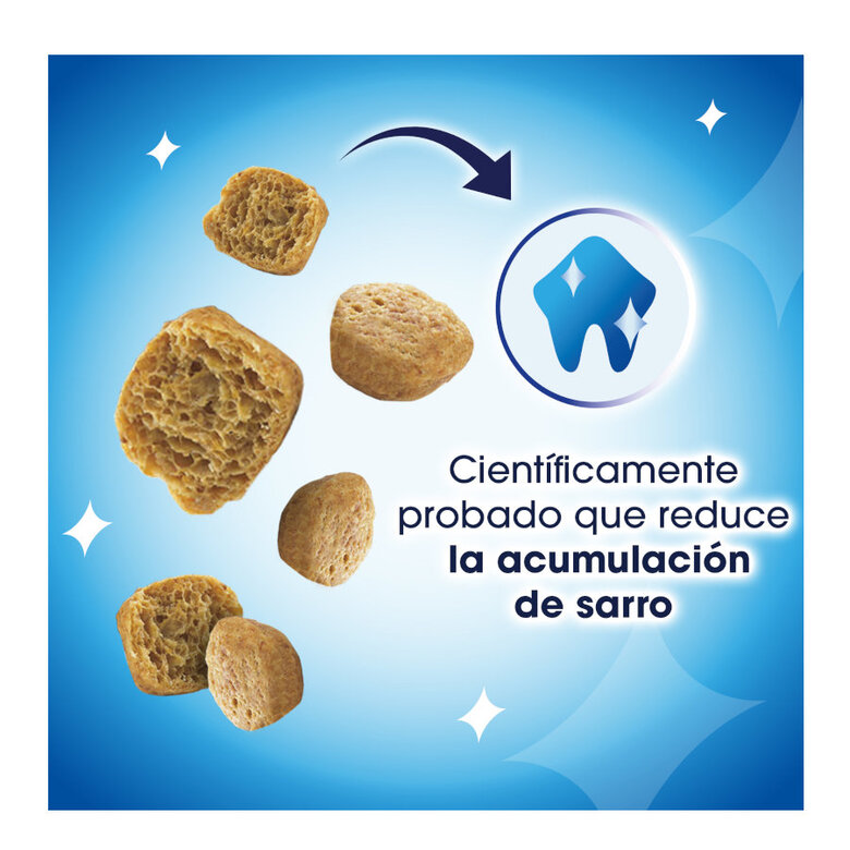 40 g Dentalife Daily Oral Salmão Snacks Dentários para gatos,  Imagem número 3 40 g Dentalife Daily Oral Salmão Snacks Dentários para gatos, , large Imagem número 3