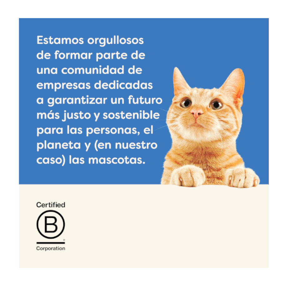 12 saquetas x 70 g Applaws Selecci&oacute;n de Peixe saqueta para gatos - Multipack, , large Imagem n&uacute;mero 5