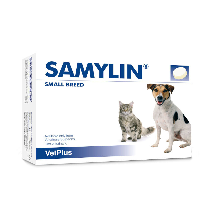 30 comprimidos VetPlus Samylin Suplemento Vitam&iacute;nico para c&atilde;es e gatos, , large Imagem n&uacute;mero 1
