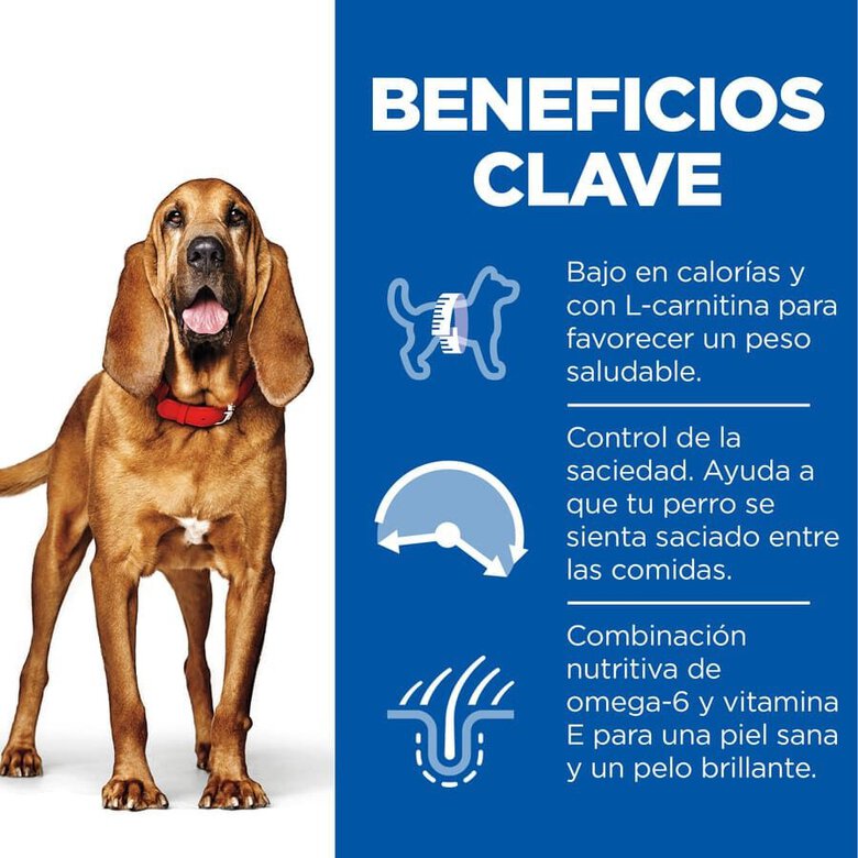 12 kg Hill's Science Plan Light Mature Adult 7+ Medium Frango ração para cães,  Imagem número 3 12 kg Hill's Science Plan Light Mature Adult 7+ Medium Frango ração para cães, , large Imagem número 3