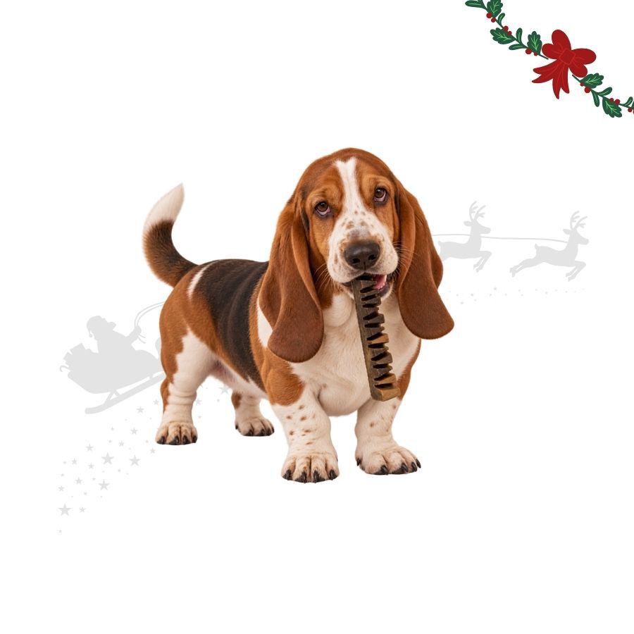 35 g Wonder Christmas Doglerone Snack para c&atilde;es, , large Imagem n&uacute;mero 2