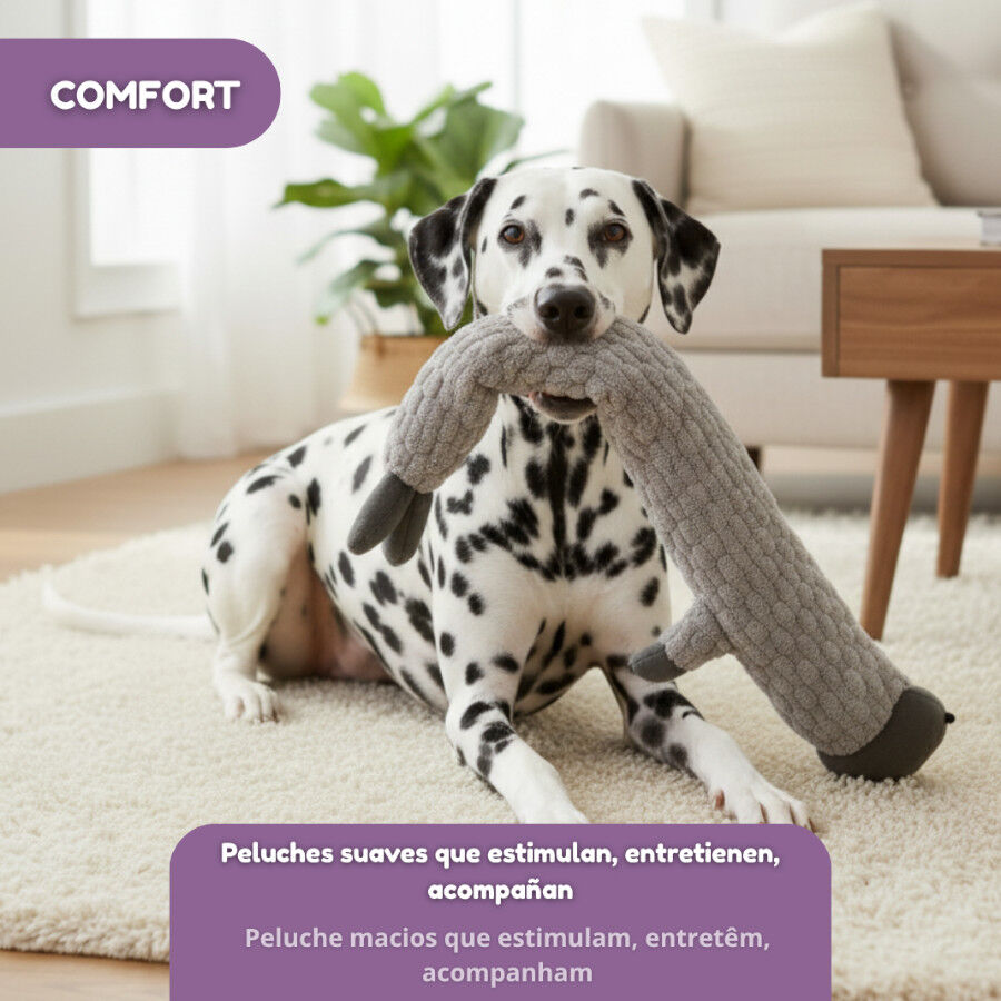 Tootoy! Comfort Peluche Hippo Toy para c&atilde;es, , large Imagem n&uacute;mero 5