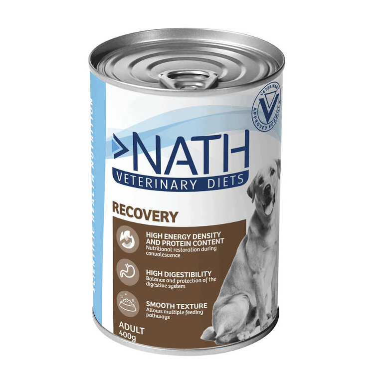 400 g Nath Veterinary Diets Recovery Salmão e Fígado de Frango lata para cães,  Imagem número 1 400 g Nath Veterinary Diets Recovery Salmão e Fígado de Frango lata para cães, , large Imagem número 1