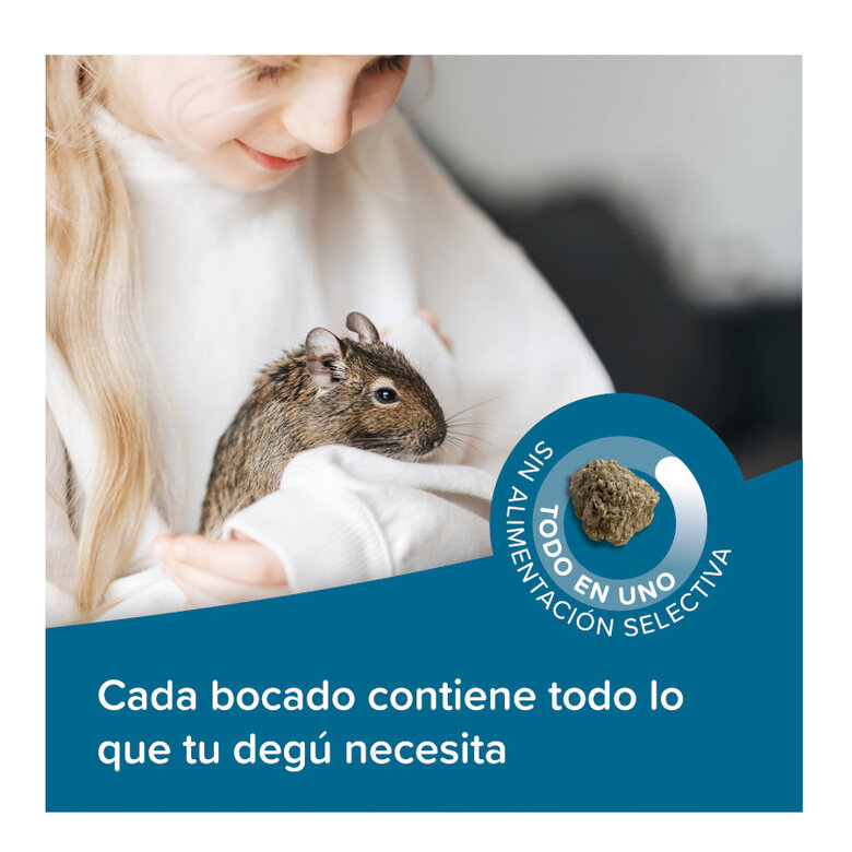 Beaphar Care+ Ração para degus,  Imagem número 4 Beaphar Care+ Ração para degus, , large Imagem número 4