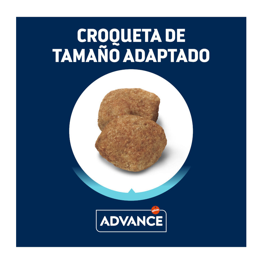 12 kg Advance Active Defense Maxi Light Frango e Arroz ra&ccedil;&atilde;o para c&atilde;es, , large Imagem n&uacute;mero 3