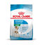 Royal Canin Mini Starter MothereBaby ração para cães, , large Indicador imagem número 1