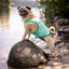 GF Pet ElastoFit Ice Vest Colete Refrescante para cães, , large Indicador imagem número 5