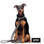Gotoo Coleira mesh cinza para cães, , large Indicador imagem número 5