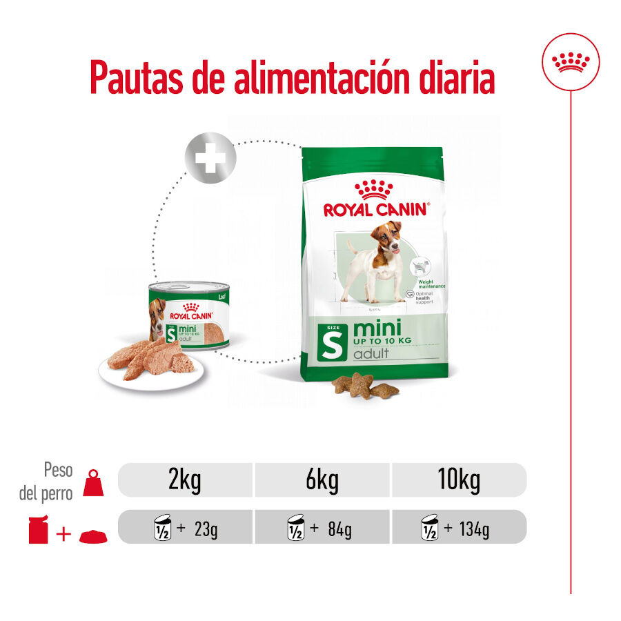 195 g Royal Canin Mini Adult Pat&acirc; em lata para c&atilde;es, , large Imagem n&uacute;mero 7