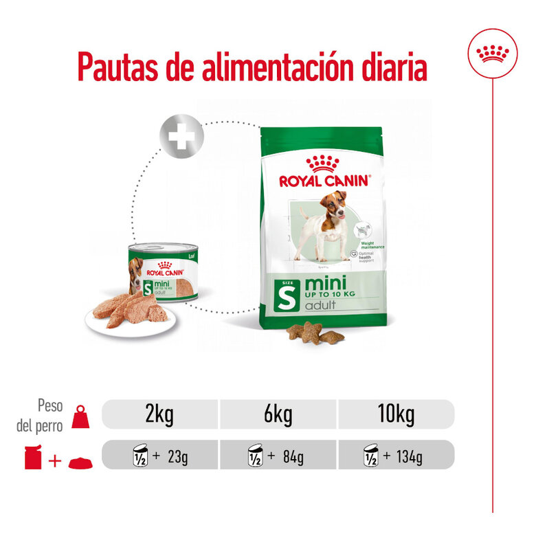 195 g Royal Canin Mini Adult Patâ em lata para cães,  Imagem número 7 195 g Royal Canin Mini Adult Patâ em lata para cães, , large Imagem número 7